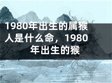 1980年出生的属猴人是什么命，1980年出生的猴