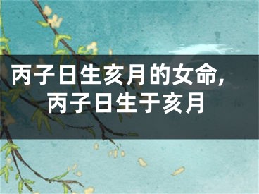 丙子日生亥月的女命,丙子日生于亥月