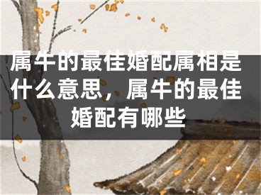 属牛的最佳婚配属相是什么意思,属牛的最佳婚配有哪些