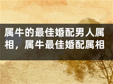 属牛的最佳婚配男人属相,属牛最佳婚配属相