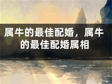 属牛的最佳配婚,属牛的最佳配婚属相