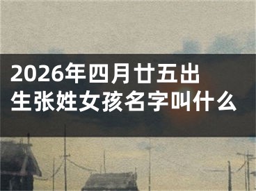 2026年四月廿五出生张姓女孩名字叫什么