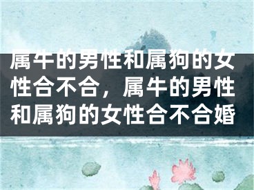 属牛的男性和属狗的女性合不合,属牛的男性和属狗的女性合不合婚