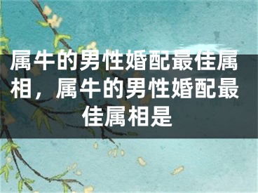 属牛的男性婚配最佳属相,属牛的男性婚配最佳属相是