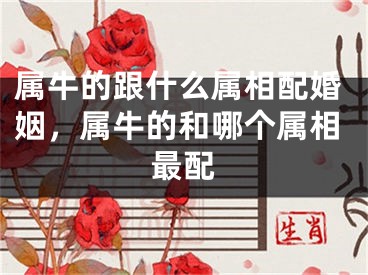 属牛的跟什么属相配婚姻,属牛的和哪个属相最配