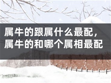 属牛的跟属什么最配,属牛的和哪个属相最配