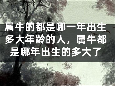 属牛的都是哪一年出生多大年龄的人,属牛都是哪年出生的多大了