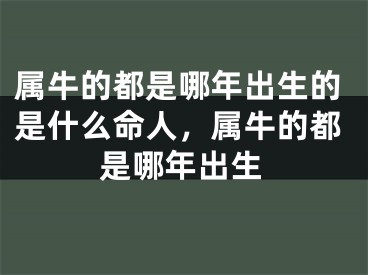 属牛的都是哪年出生的是什么命人，属牛的都是哪年出生