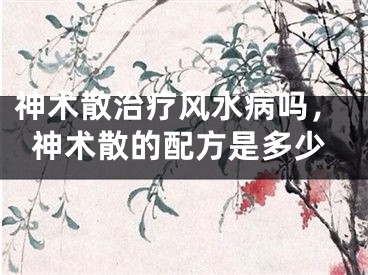 神术散治疗风水病吗,神术散的配方是多少