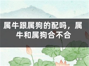 属牛跟属狗的配吗，属牛和属狗合不合