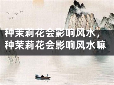 种茉莉花会影响风水，种茉莉花会影响风水嘛