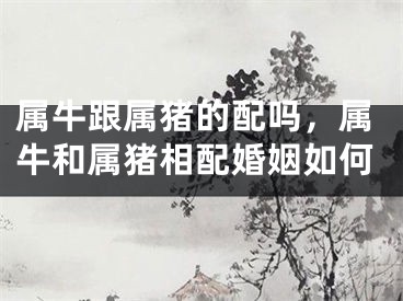 属牛跟属猪的配吗,属牛和属猪相配婚姻如何