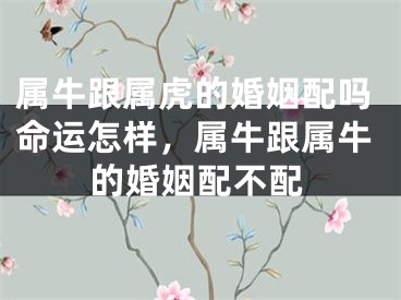属牛跟属虎的婚姻配吗命运怎样,属牛跟属牛的婚姻配不配