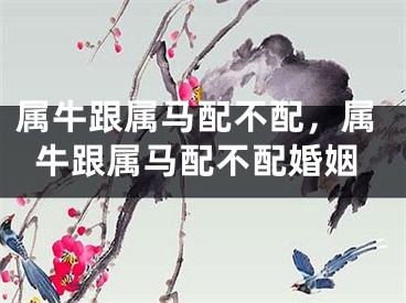 属牛跟属马配不配,属牛跟属马配不配婚姻