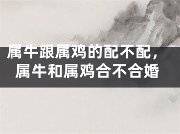 属牛跟属鸡的配不配，属牛和属鸡合不合婚