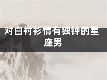 对白衬衫情有独钟的星座男