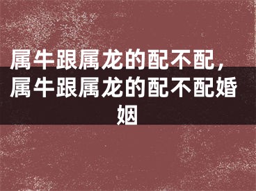属牛跟属龙的配不配,属牛跟属龙的配不配婚姻