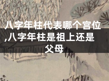 八字年柱代表哪个宫位,八字年柱是祖上还是父母
