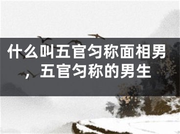 什么叫五官匀称面相男,五官匀称的男生