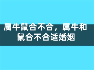 属牛鼠合不合，属牛和鼠合不合适婚姻