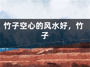 竹子空心的风水好，竹子