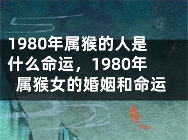 1980年属猴的人是什么命运,1980年属猴女的婚姻和命运