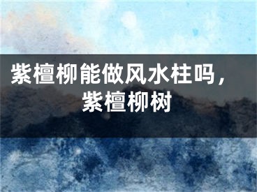 紫檀柳能做风水柱吗，紫檀柳树