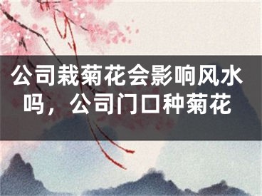 公司栽菊花会影响风水吗,公司门口种菊花