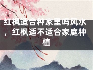 红枫适合种家里吗风水，红枫适不适合家庭种植