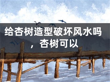给杏树造型破坏风水吗，杏树可以