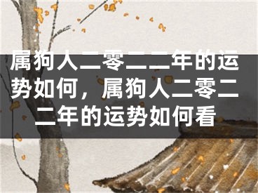 属狗人二零二二年的运势如何，属狗人二零二二年的运势如何看