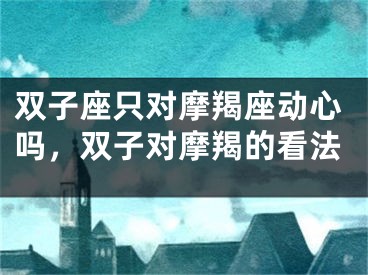 双子座只对摩羯座动心吗，双子对摩羯的看法