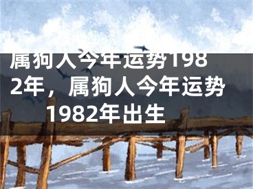 属狗人今年运势1982年,属狗人今年运势1982年出生