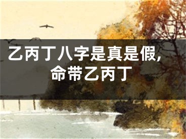 乙丙丁八字是真是假,命带乙丙丁