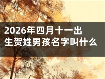 2026年四月十一出生贺姓男孩名字叫什么