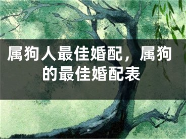 属狗人最佳婚配,属狗的最佳婚配表