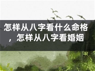 怎样从八字看什么命格,怎样从八字看婚姻