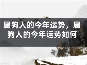 属狗人的今年运势,属狗人的今年运势如何