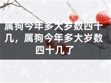 属狗今年多大岁数四十几，属狗今年多大岁数四十几了