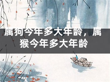 属狗今年多大年龄,属猴今年多大年龄