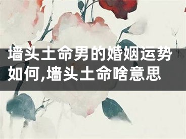 墙头土命男的婚姻运势如何,墙头土命啥意思