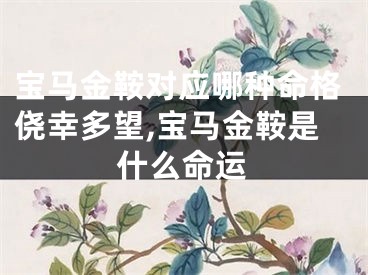 宝马金鞍对应哪种命格侥幸多望,宝马金鞍是什么命运