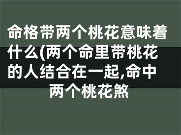 命格带两个桃花意味着什么(两个命里带桃花的人结合在一起,命中两个桃花煞