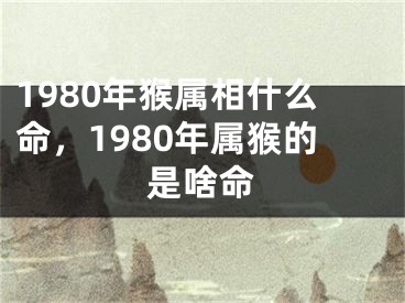 1980年猴属相什么命,1980年属猴的是啥命
