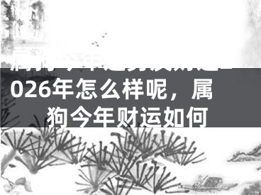 属狗今年运势及财运2026年怎么样呢,属狗今年财运如何