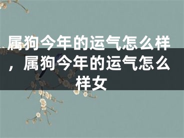 属狗今年的运气怎么样,属狗今年的运气怎么样女