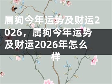 属狗今年运势及财运2026,属狗今年运势及财运2026年怎么样