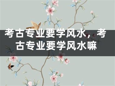 考古专业要学风水，考古专业要学风水嘛