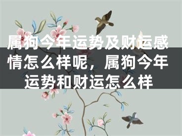 属狗今年运势及财运感情怎么样呢,属狗今年运势和财运怎么样