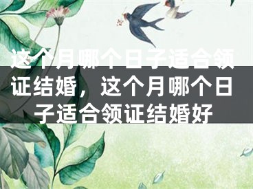 这个月哪个日子适合领证结婚,这个月哪个日子适合领证结婚好